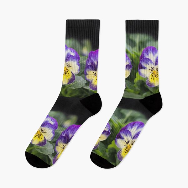 Item preview, Viola's designed and sold by John Ray.