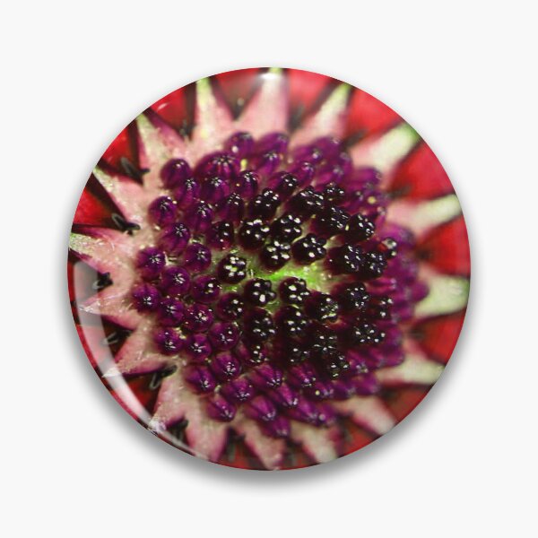 Item preview, Flowers (MKW-F.22) designed and sold by Katrina Morgan.