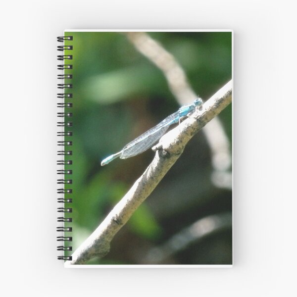 Item preview, Blue Damsel Fly Resting on a Twig designed and sold by JaeandJ.