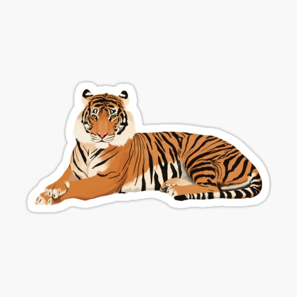 Cincinnati Zoo's white tigers inspire Bengals jersey design