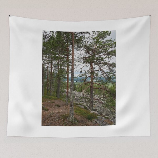 Item preview, The pines at the top of Aavasaksa 1 designed and sold by Jouko Lehto Photography.