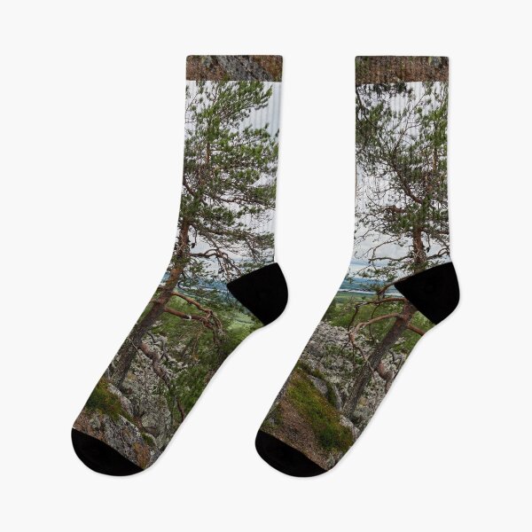 Item preview, The pines at the top of Aavasaksa 1 designed and sold by Jouko Lehto Photography.