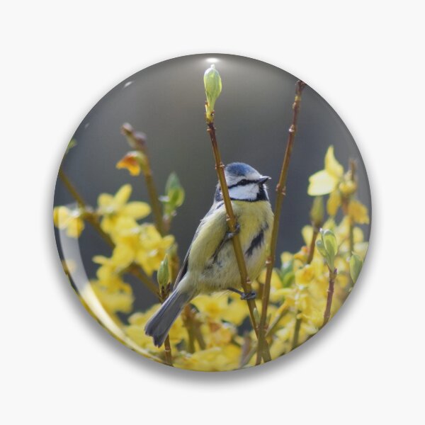 Item preview, Blue Tit in Spring designed and sold by Emma Kimberley.