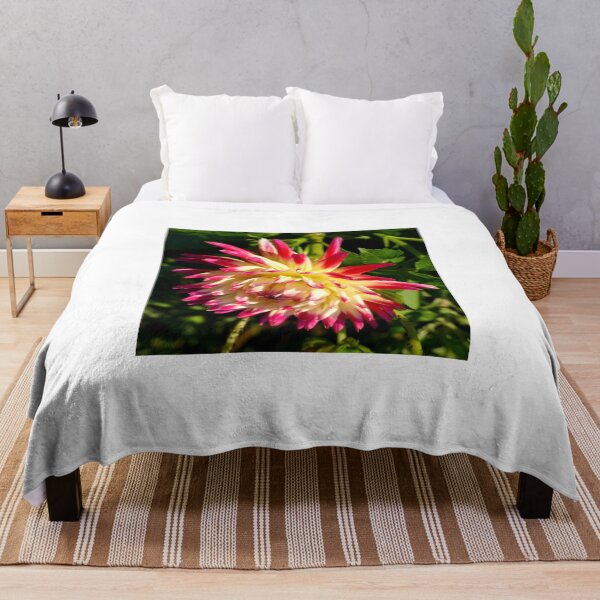 Item preview, Dahlia designed and sold by Chris Petty.
