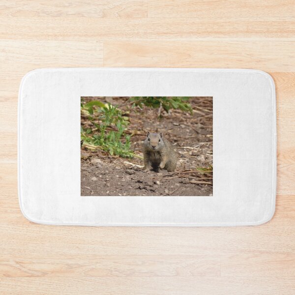 Item preview, Gopher Posing for a Picture designed and sold by JaeandJ.