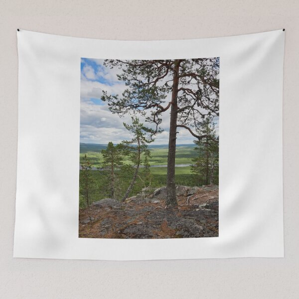 Item preview, The pines at the top of Aavasaksa 2 designed and sold by Jouko Lehto Photography.
