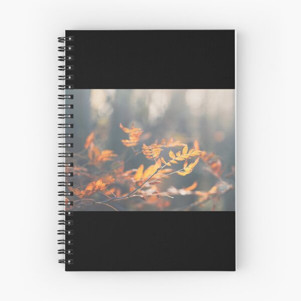 Aperçu de l'œuvre Floral # 5 créée et vendue par fivefeetstudio.