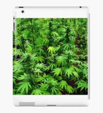 Marijuana (Weed) iPad Case/Skin