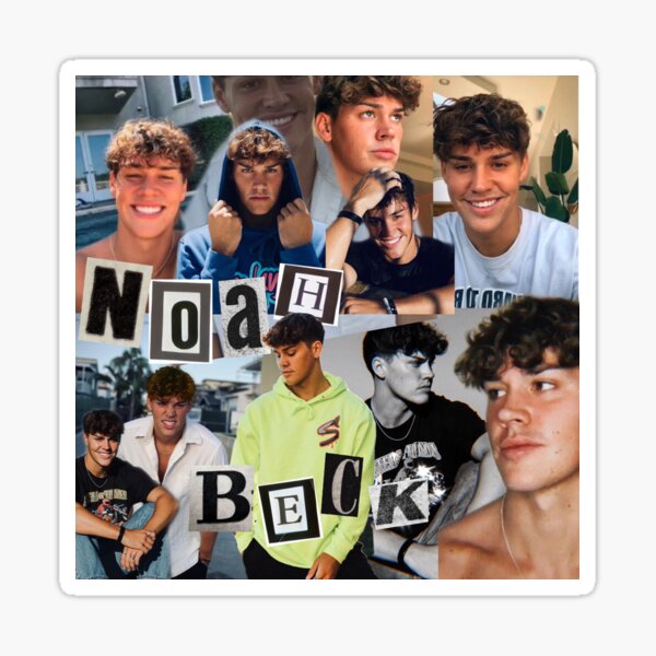 Collage de Noah Beck Sticker
