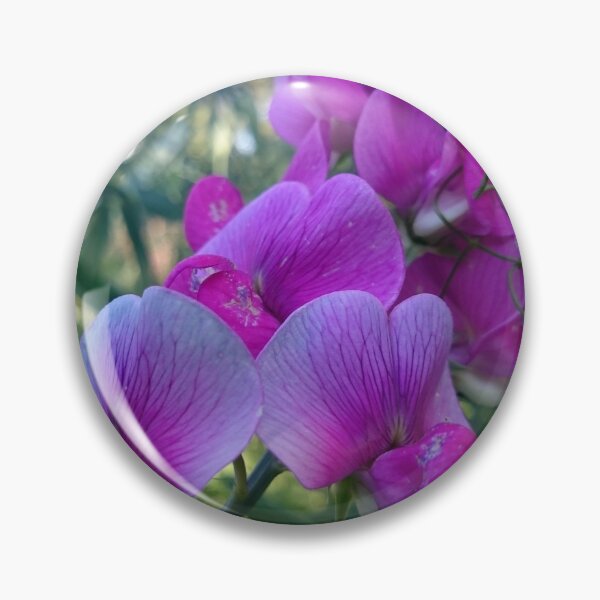 Item preview, Vetch designed and sold by Gourmetkater.