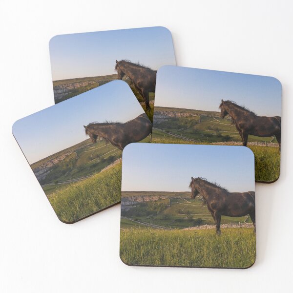 Item preview, Dales Pony designed and sold by MJ-Piccys.