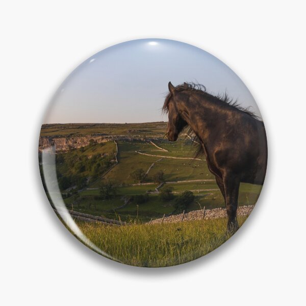 Item preview, Dales Pony designed and sold by MJ-Piccys.