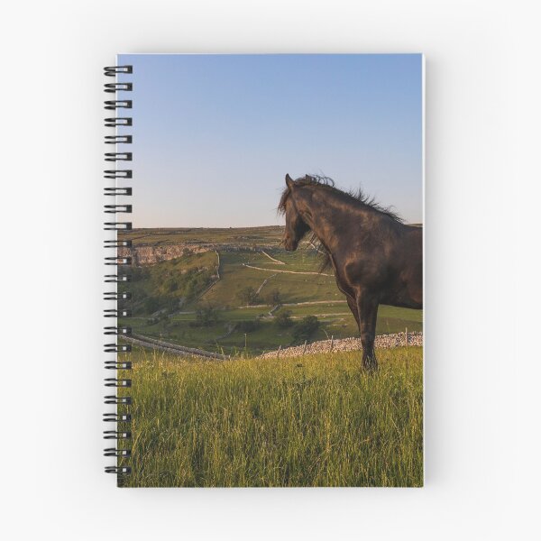 Item preview, Dales Pony designed and sold by MJ-Piccys.