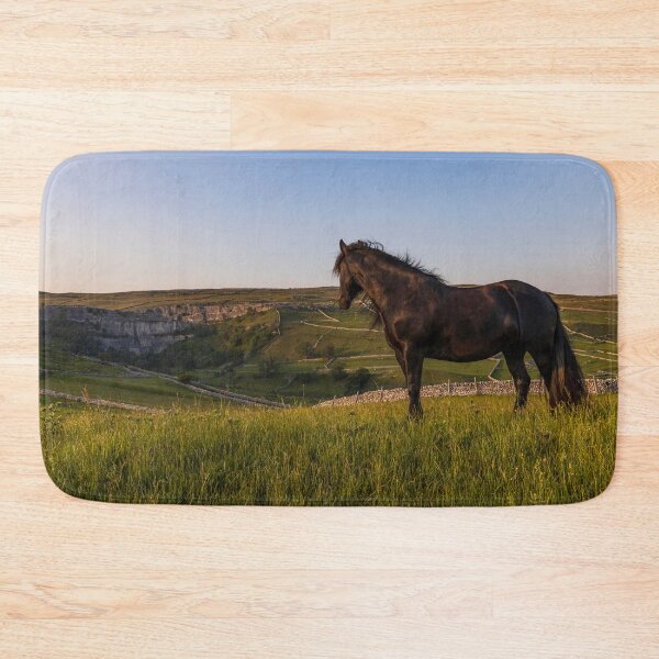 Item preview, Dales Pony designed and sold by MJ-Piccys.