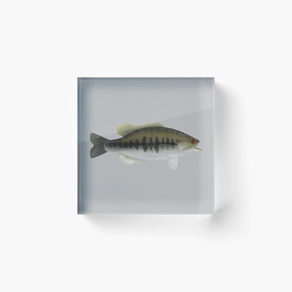 Item preview, Suwannee Bass designed and sold by fishfolkart.