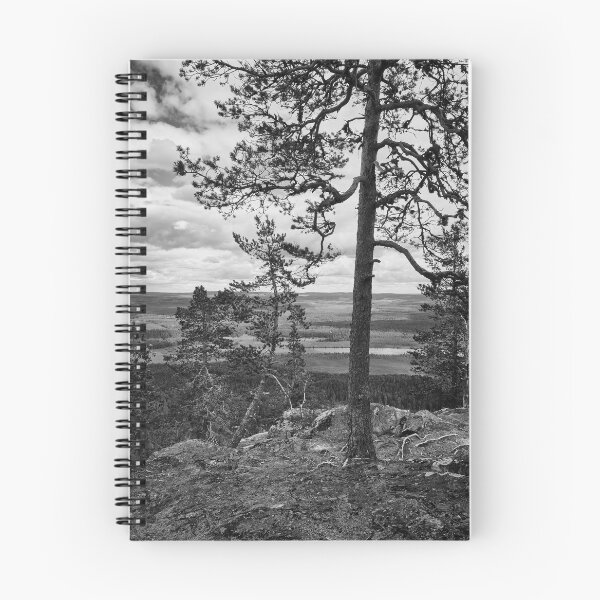 Item preview, The pines at the top of Aavasaksa 3 bw designed and sold by Jouko Lehto Photography.