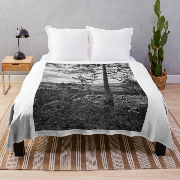 Item preview, The pines at the top of Aavasaksa 3 bw designed and sold by Jouko Lehto Photography.