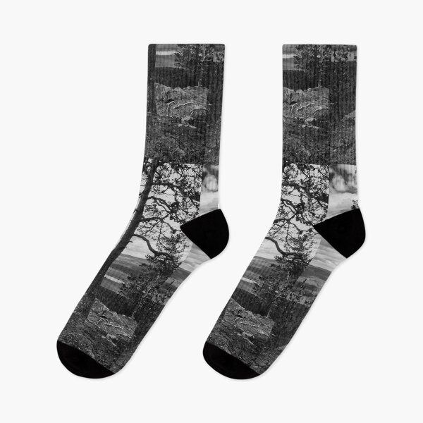 Item preview, The pines at the top of Aavasaksa 3 bw designed and sold by Jouko Lehto Photography.