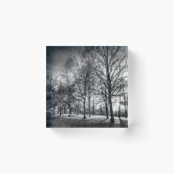 Item preview, Greenwich Park London designed and sold by Londonimages.