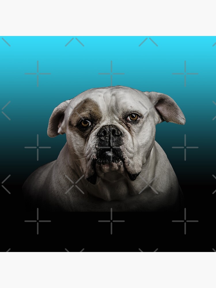 Boxer Hund Mit Blauer Schwarzer Steigung Grusskarte Von shiarsh Redbubble