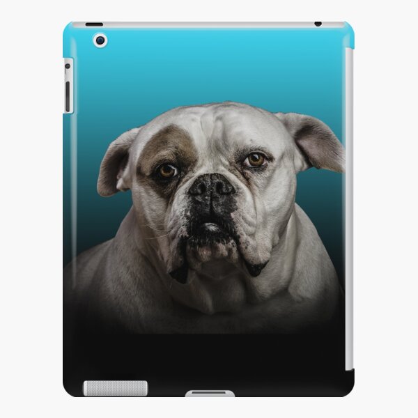 Boxer Dog Olgemalde Kunst Portrat Ipad Hulle Skin Von shiarsh Redbubble