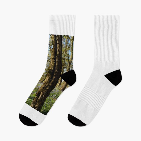 Item preview, Bluebell Wood designed and sold by Chris Petty.