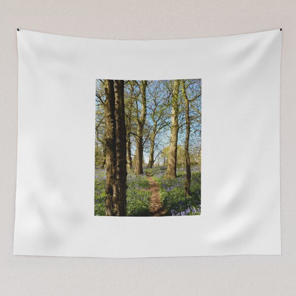 Item preview, Bluebell Wood designed and sold by Chris Petty.
