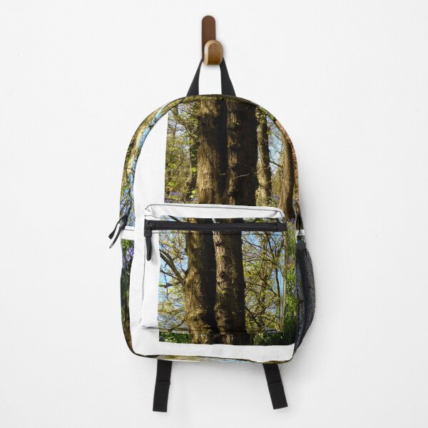 Item preview, Bluebell Wood designed and sold by Chris Petty.
