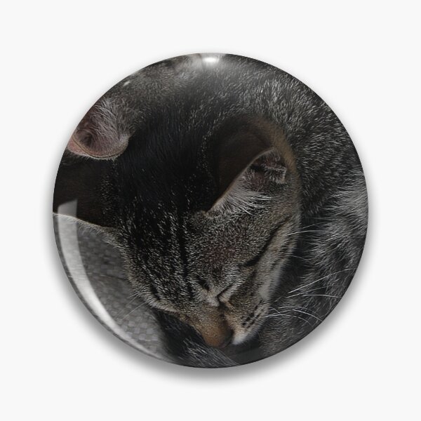 Item preview, Two Cute Cats Slipping in a Day Time! designed and sold by Wiggly Lines.