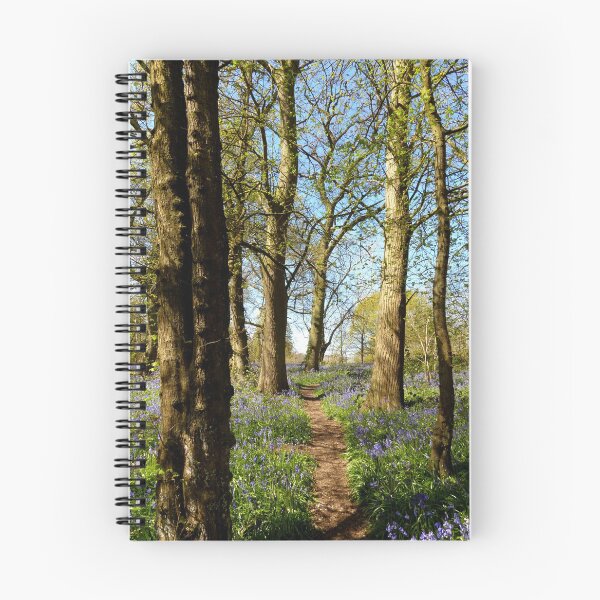 Item preview, Bluebell Wood designed and sold by Chris Petty.