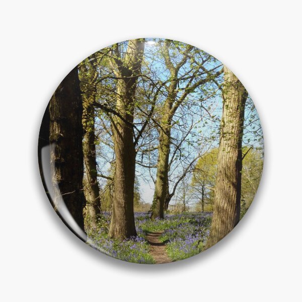 Item preview, Bluebell Wood designed and sold by Chris Petty.