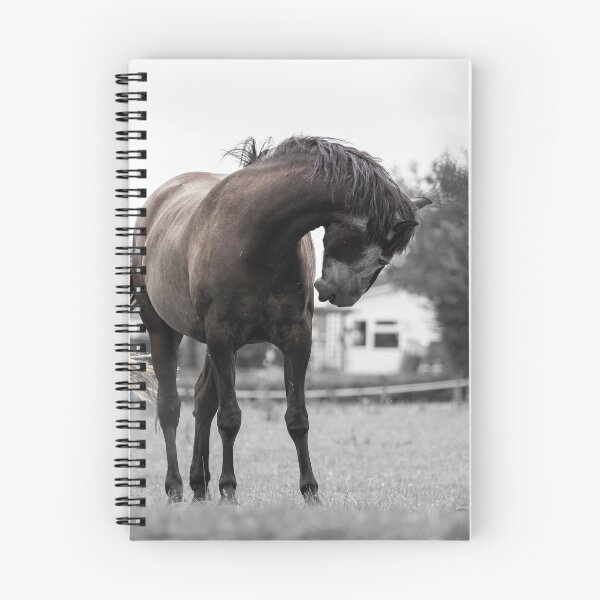Item preview, Lui designed and sold by PhotographMassa.