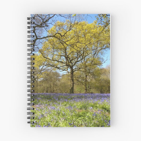 Item preview, Bluebell Wood designed and sold by Chris Petty.
