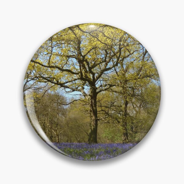 Item preview, Bluebell Wood designed and sold by Chris Petty.