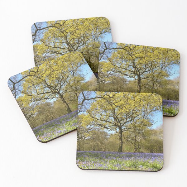 Item preview, Bluebell Wood designed and sold by Chris Petty.