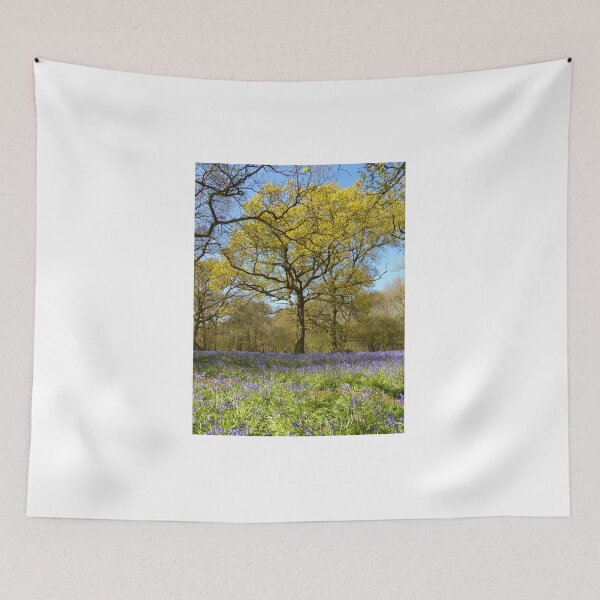 Item preview, Bluebell Wood designed and sold by Chris Petty.