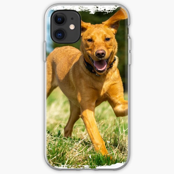 Red Fox Labrador Retriever puppy iPhone Soft Case