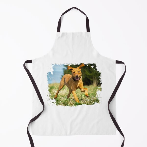 Red Fox Labrador Retriever puppy Apron