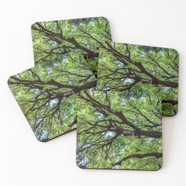 Item preview, Beautiful old tree from the Majorelle Garden designed and sold by moroccandreamer.