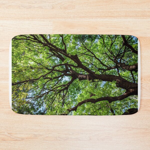 Item preview, Beautiful old tree from the Majorelle Garden designed and sold by moroccandreamer.