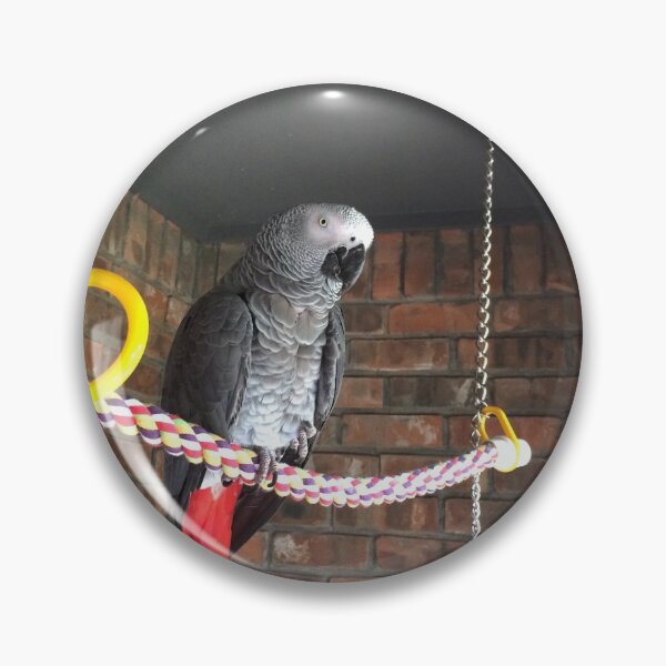 Item preview, Einstein Parrot on the porch designed and sold by einsteinparrot.
