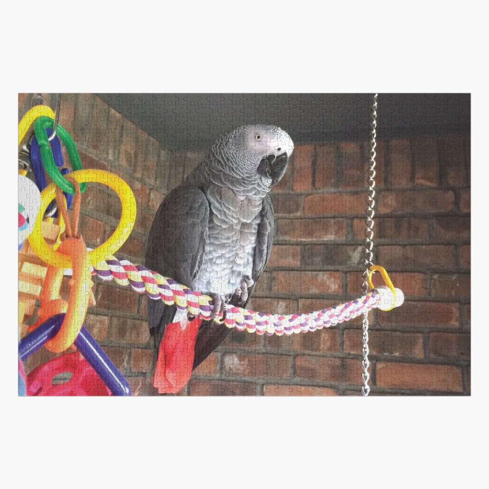 Einstein Parrot on the porch Jigsaw Puzzle