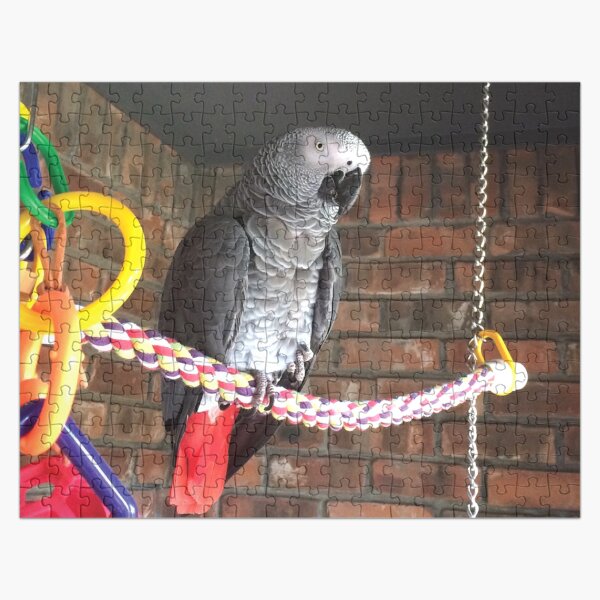 Einstein Parrot on the porch Jigsaw Puzzle
