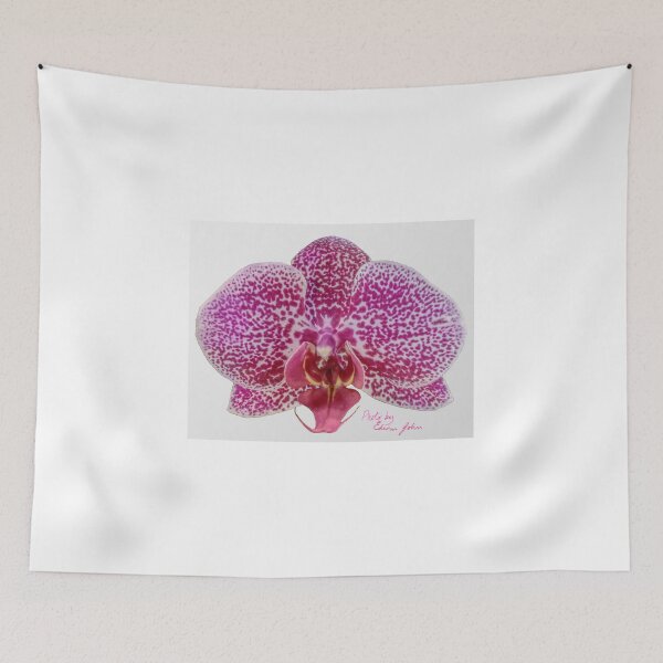Item preview, Single Magenta Spotted Orchid by John Edwin Skelton designed and sold by EdwinJohn.
