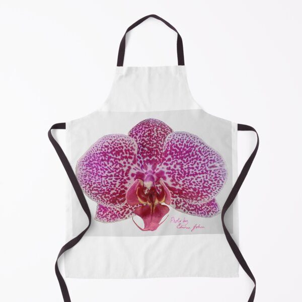 Item preview, Single Magenta Spotted Orchid by John Edwin Skelton designed and sold by EdwinJohn.