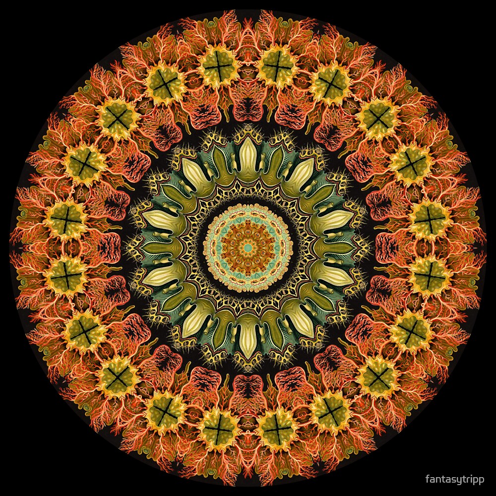 most beautiful kaleidoscope image most beautiful kaleidoscope image