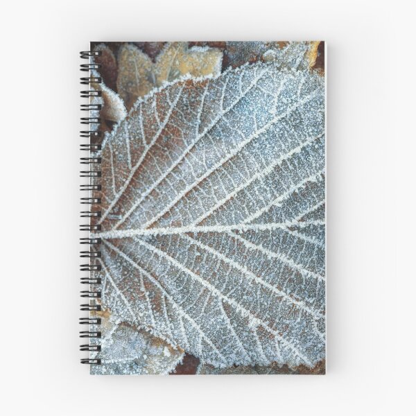 Item preview, Frosty Leaves designed and sold by framingplaces.