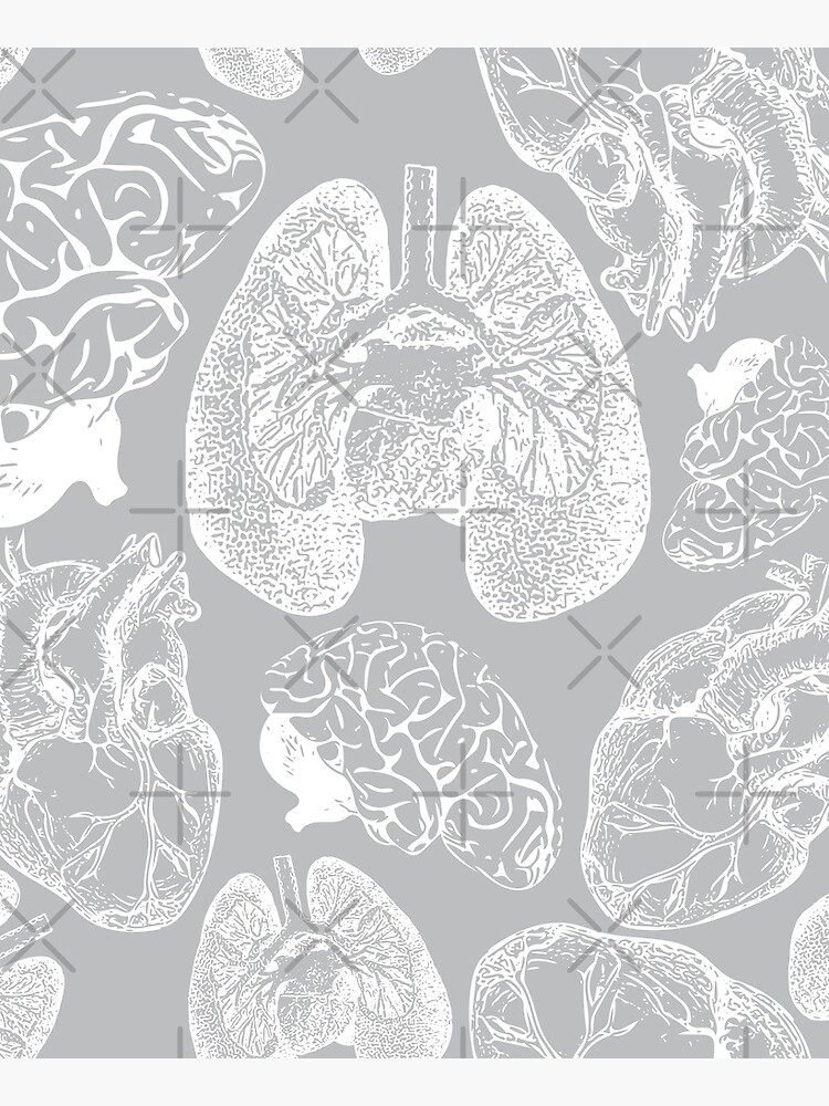 Anatomical Organs - White on Grey by beththompsonart