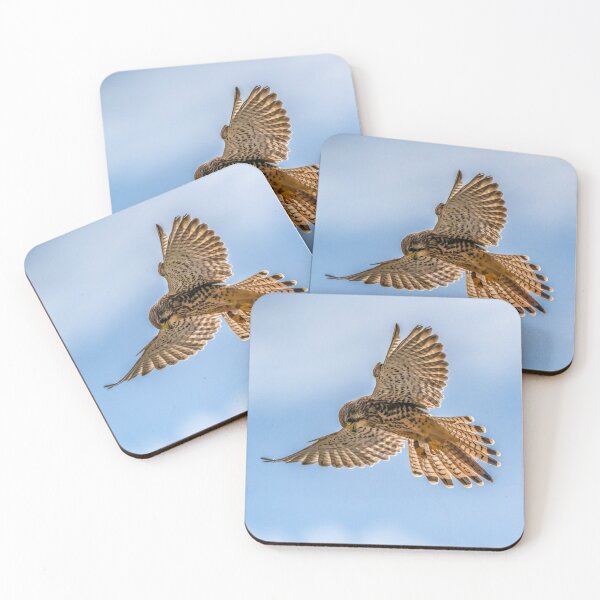 Item preview, European Kestrel designed and sold by framingplaces.