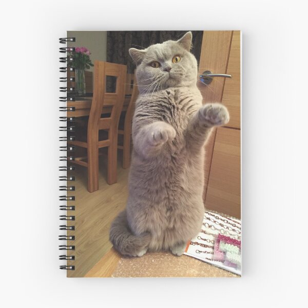Item preview, British Shorthair cat designed and sold by carrizizi.